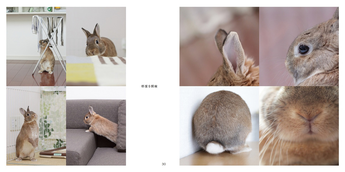 フォトブック 30ページ目