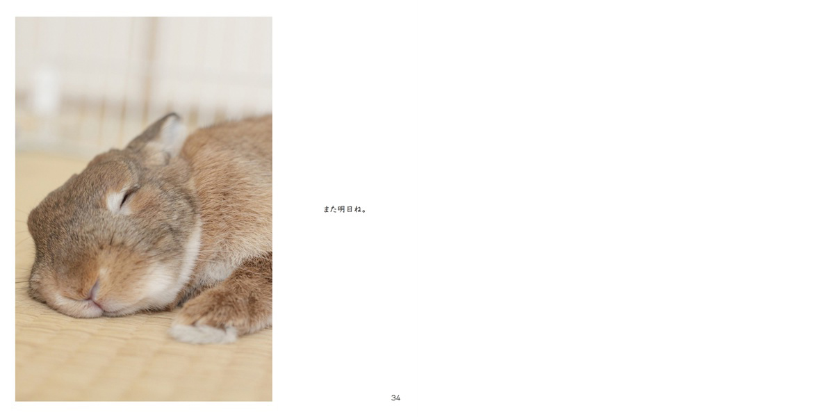 フォトブック 34ページ目