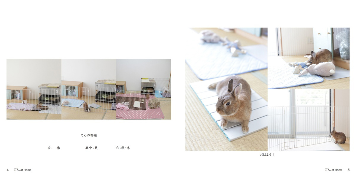 フォトブック 4ページ目