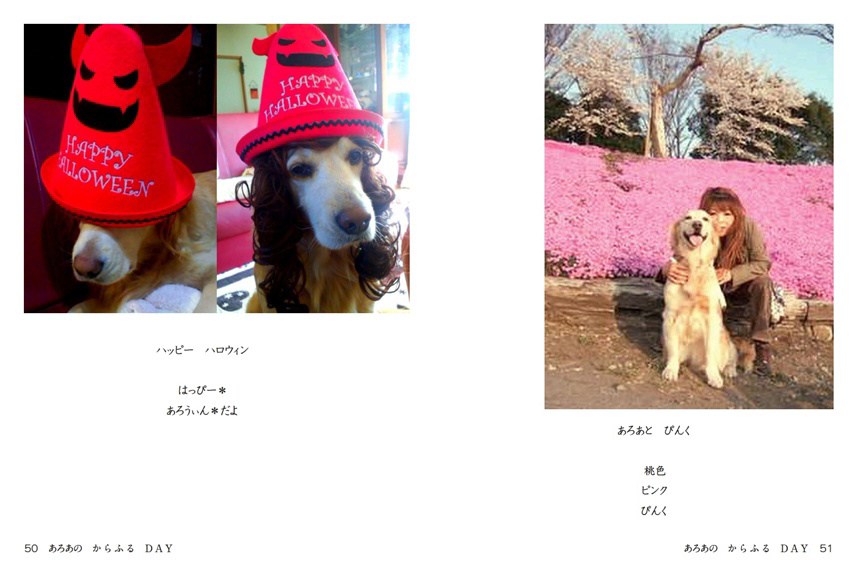 フォトブック 50ページ目