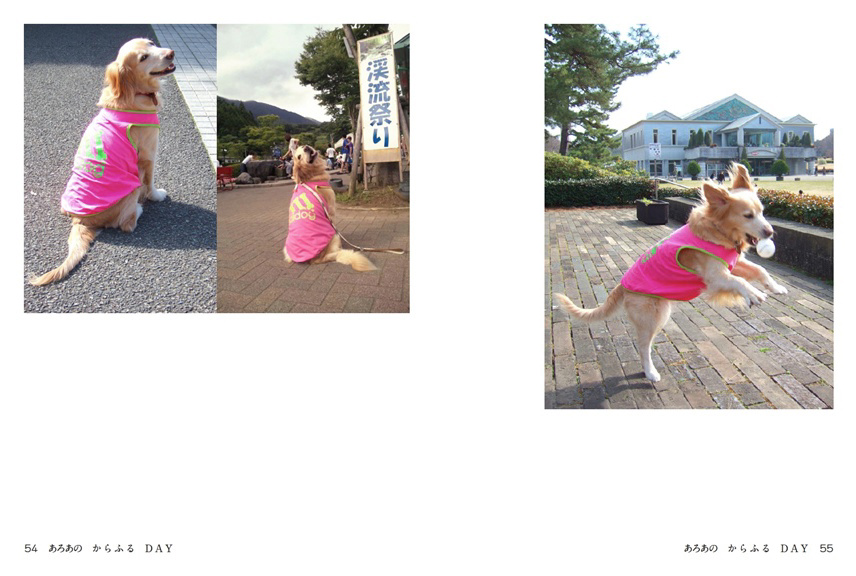 フォトブック 54ページ目