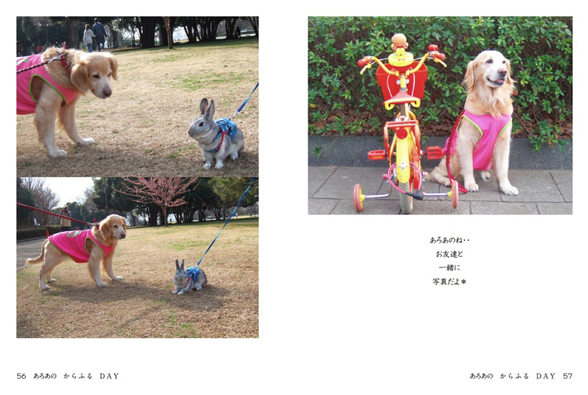 フォトブック 56ページ目