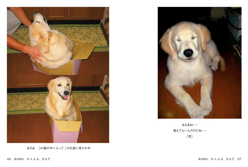 フォトブック 66ページ目