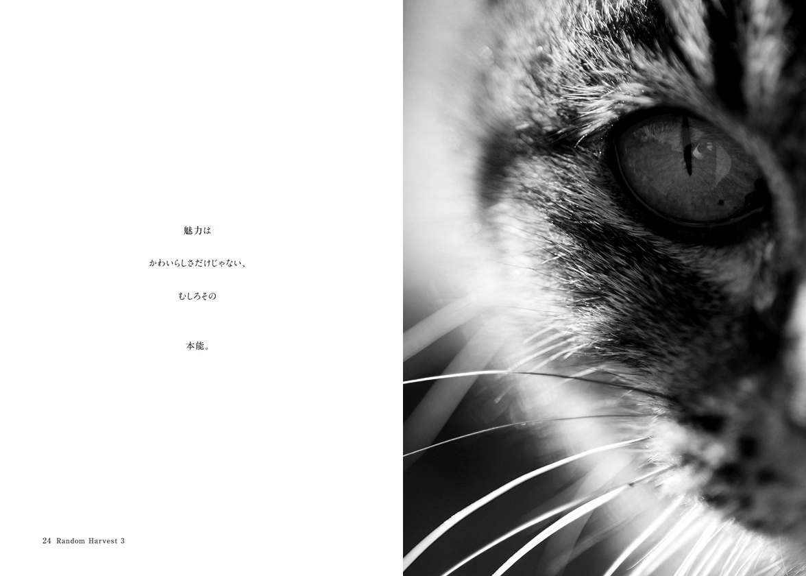 フォトブック 24ページ目
