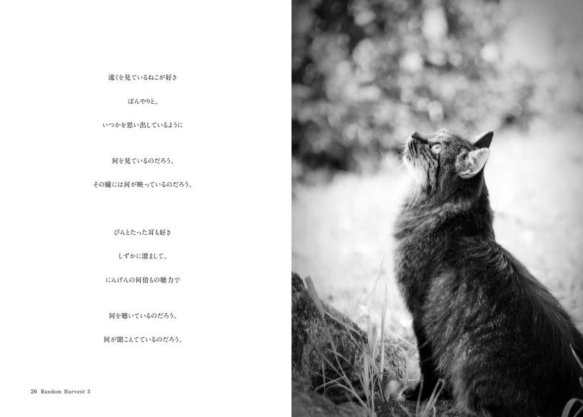 フォトブック 26ページ目