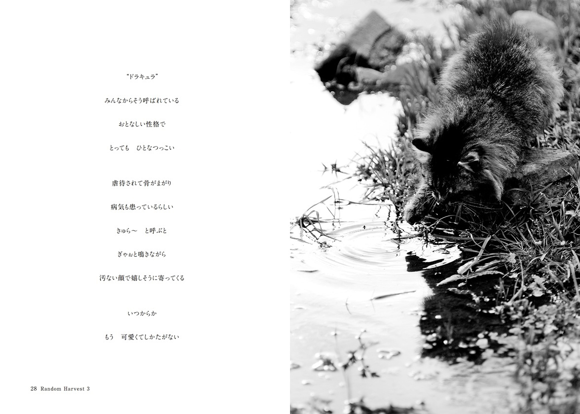 フォトブック 28ページ目