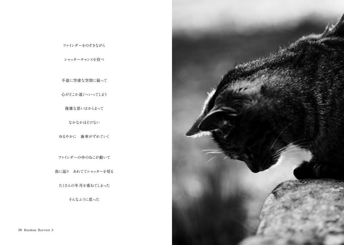 フォトブック 30ページ目