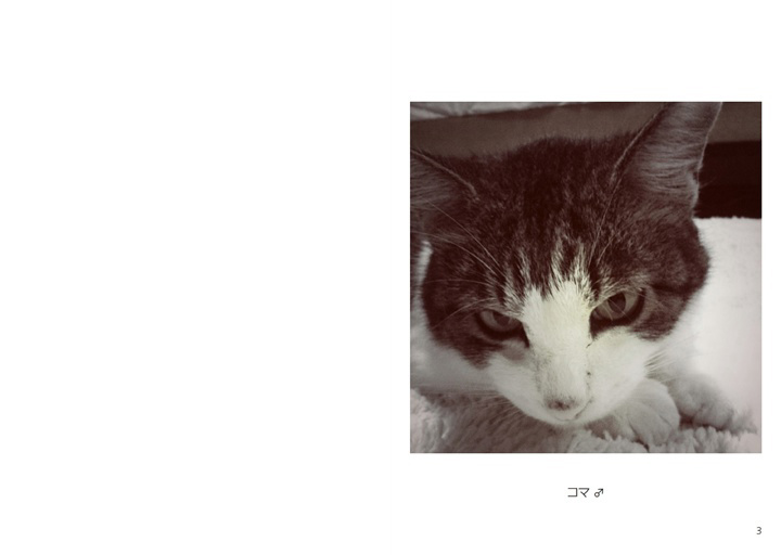 フォトブック 2ページ目