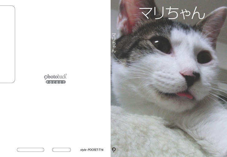 フォトブック ジャケット