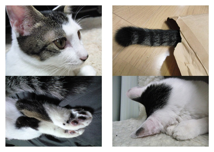 フォトブック 12ページ目