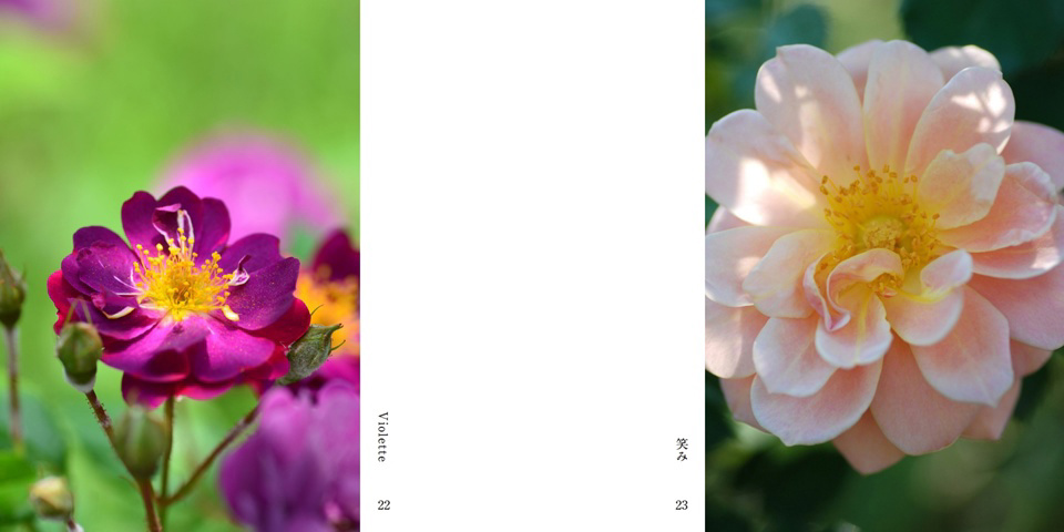 フォトブック 22ページ目