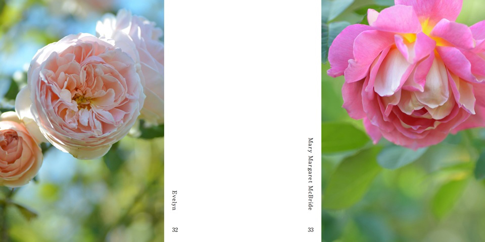 フォトブック 32ページ目
