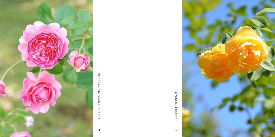 フォトブック 4ページ目
