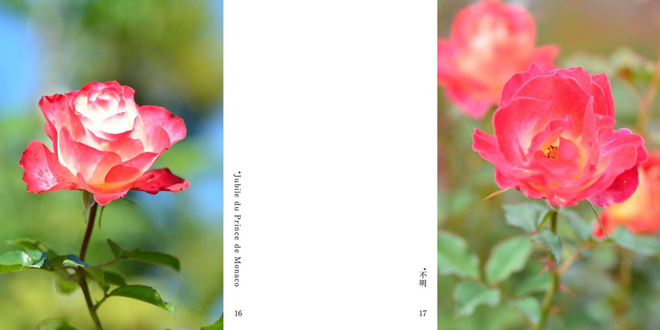 フォトブック 16ページ目