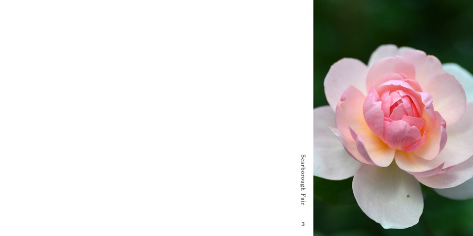 フォトブック 2ページ目