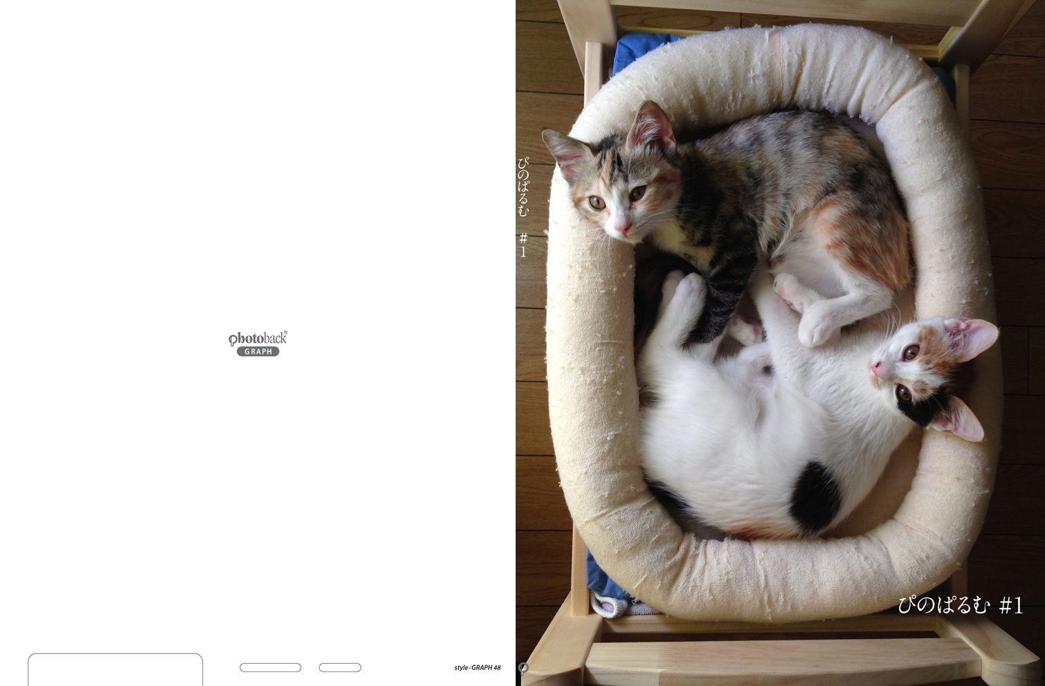 フォトブック ジャケット