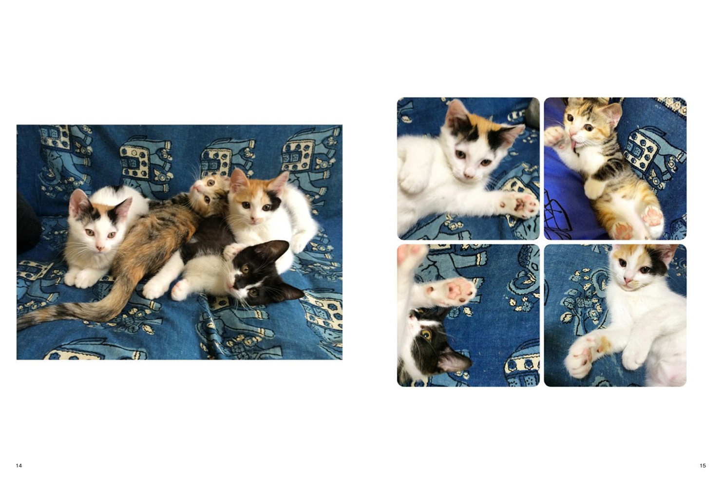 フォトブック 14ページ目