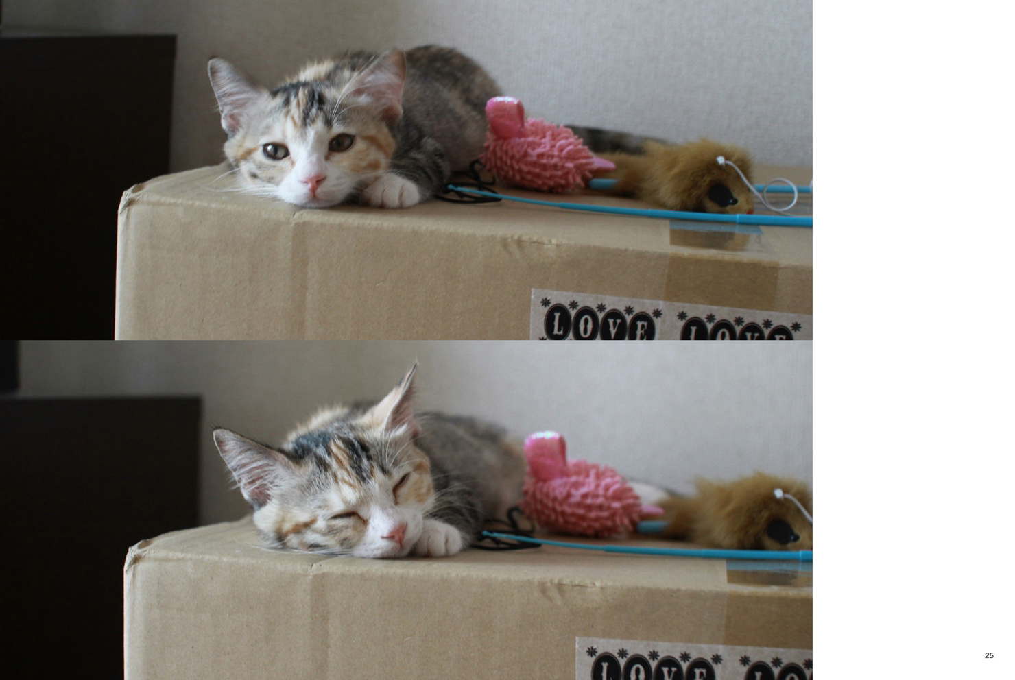 フォトブック 24ページ目