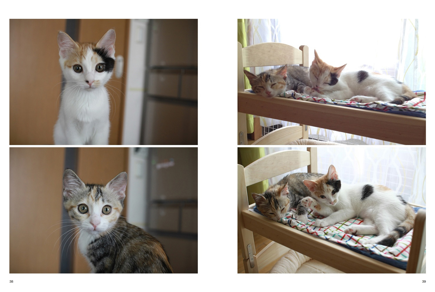 フォトブック 38ページ目
