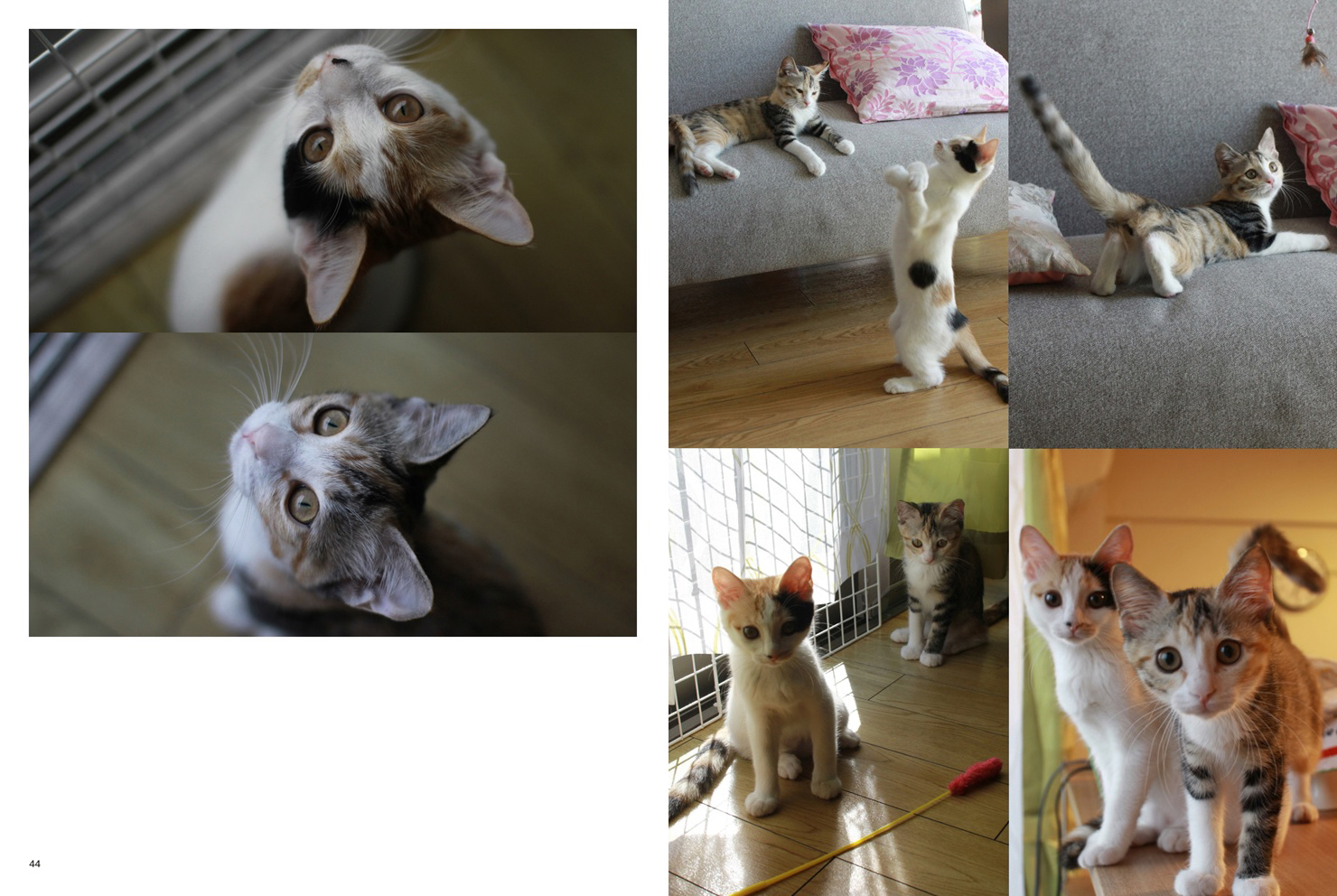 フォトブック 44ページ目