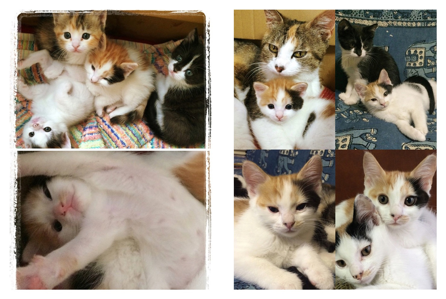 フォトブック 8ページ目