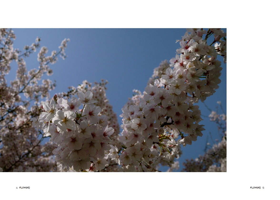 フォトブック 4ページ目