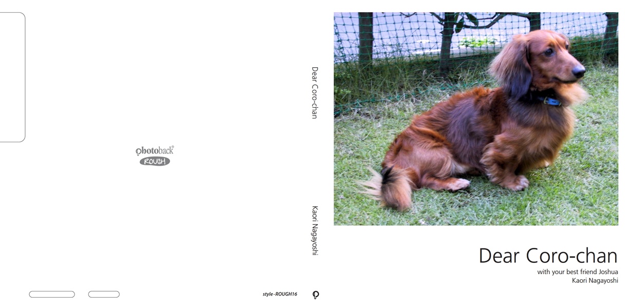 フォトブック ジャケット