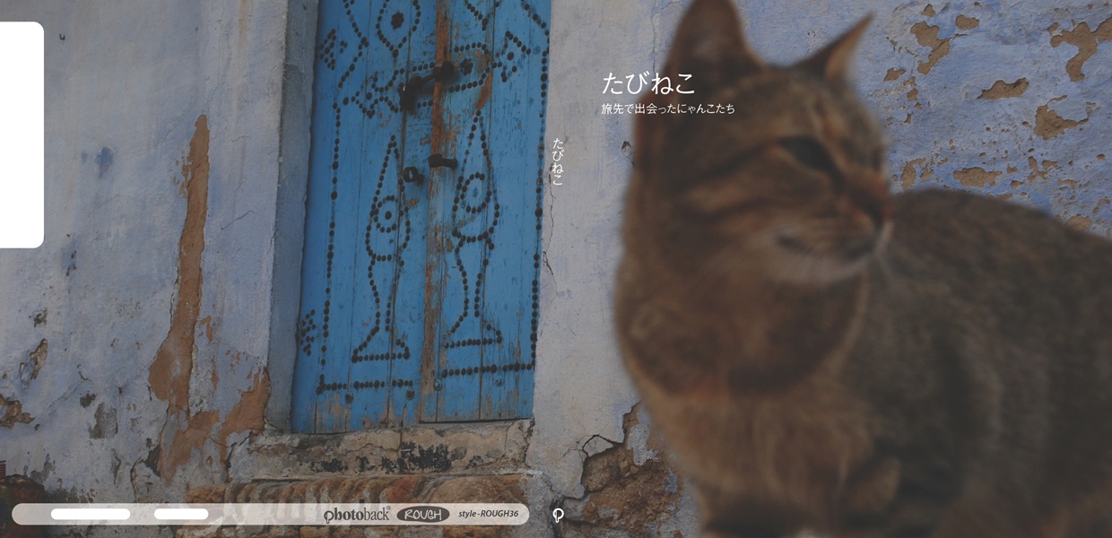 フォトブック ジャケット