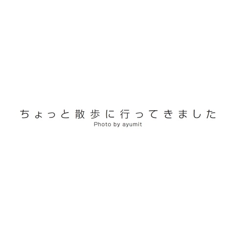フォトブック 扉