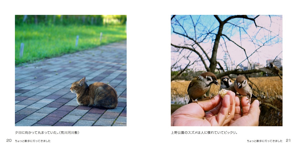 フォトブック 20ページ目