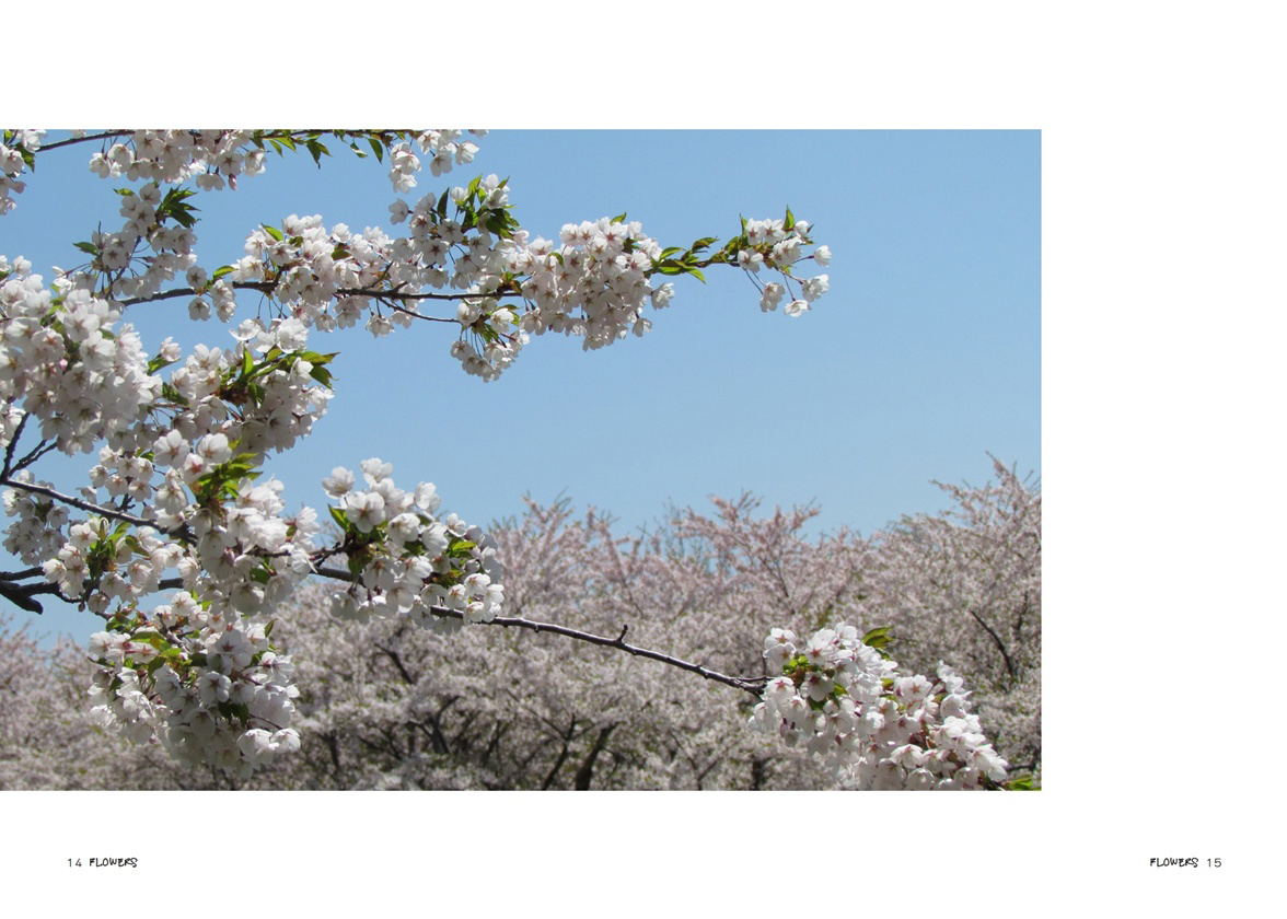 フォトブック 14ページ目