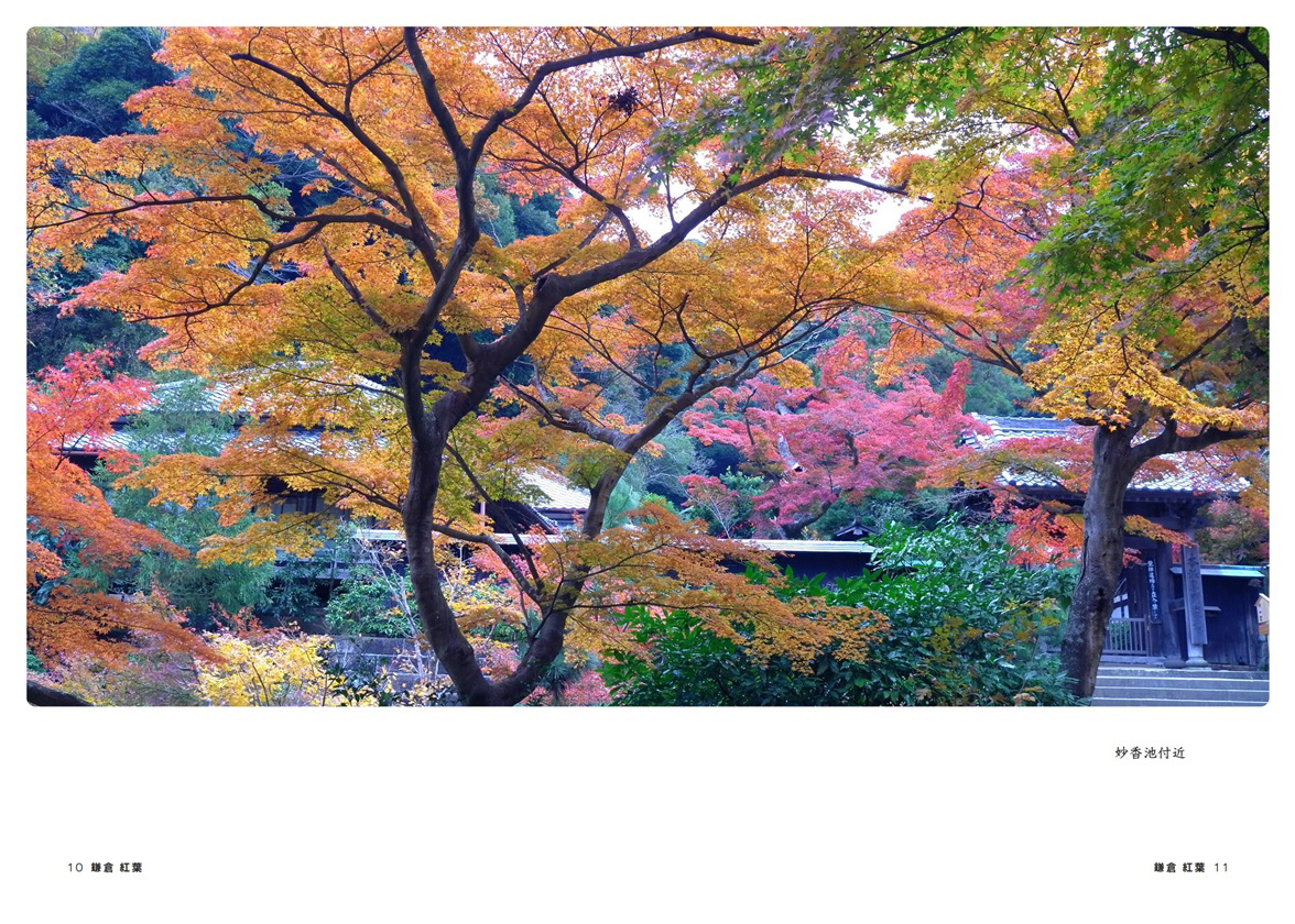 フォトブック 10ページ目