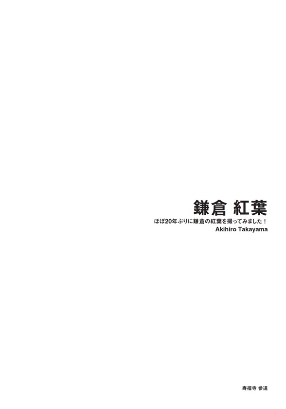 フォトブック 扉