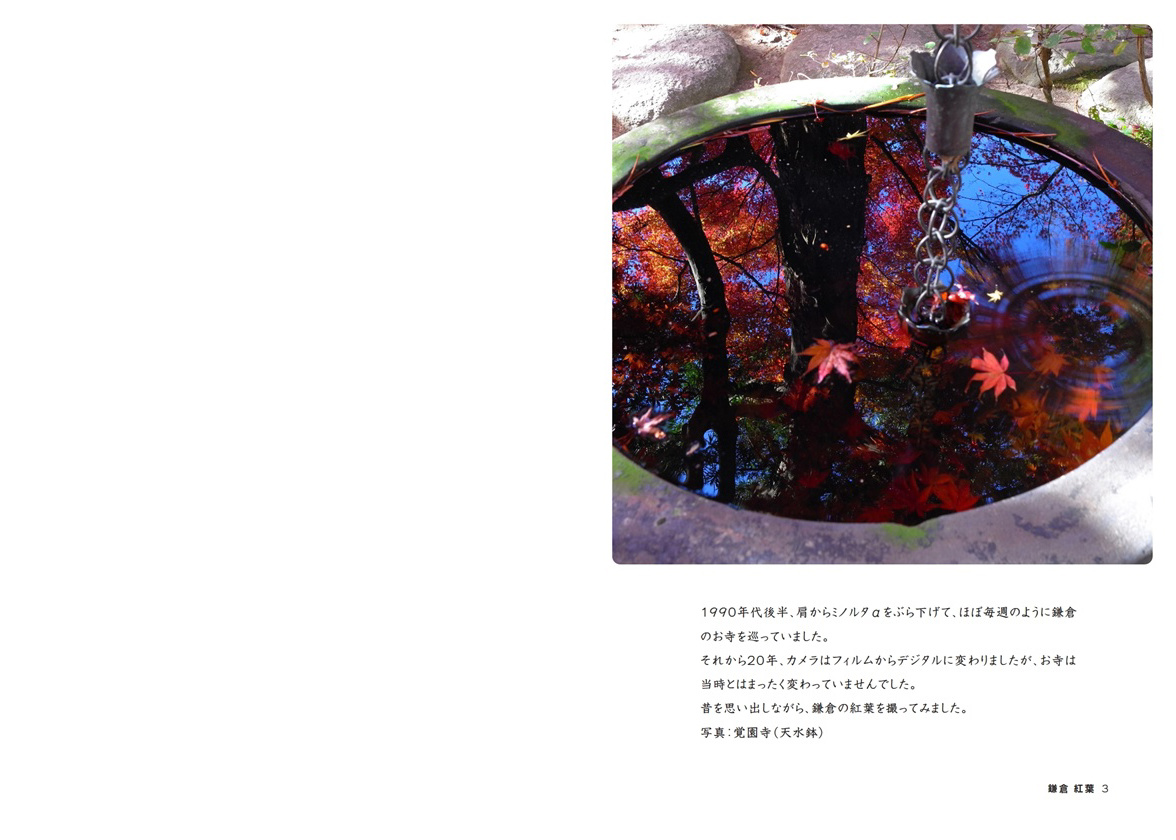 フォトブック 2ページ目