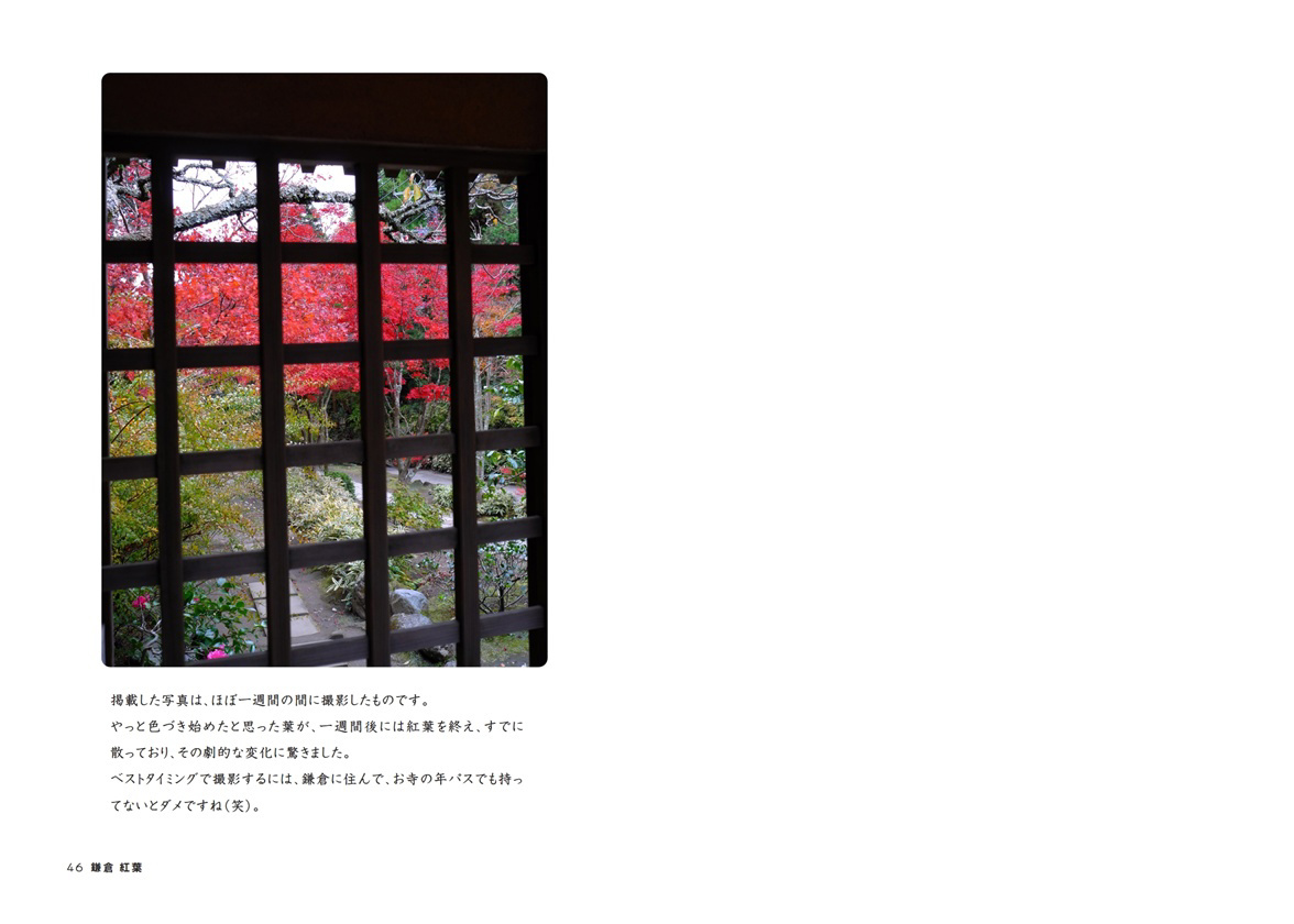 フォトブック 46ページ目