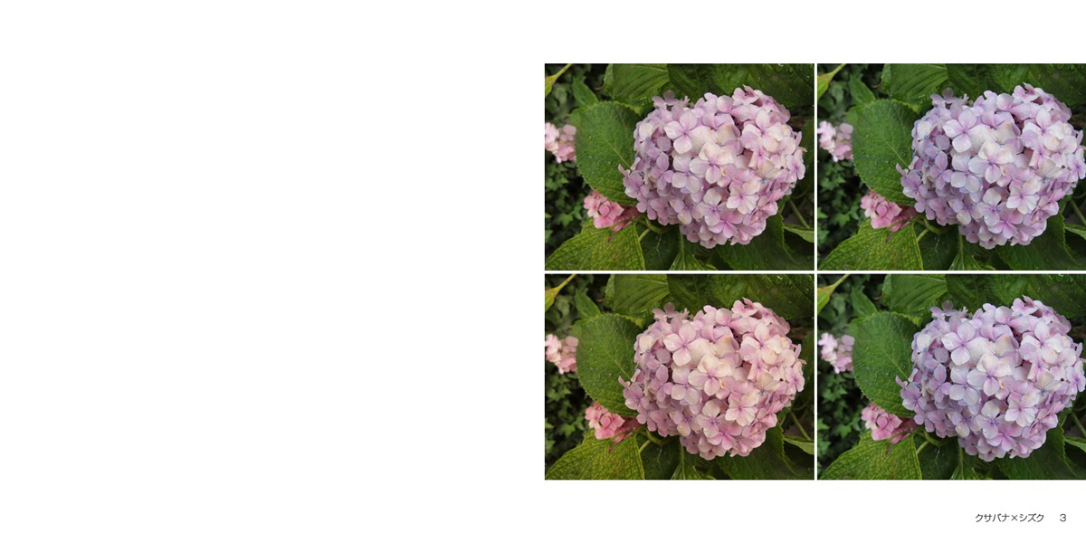 フォトブック 2ページ目