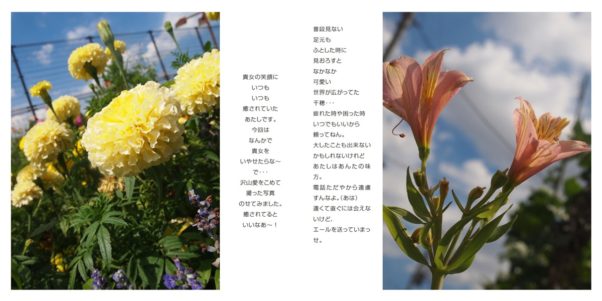 フォトブック 12ページ目
