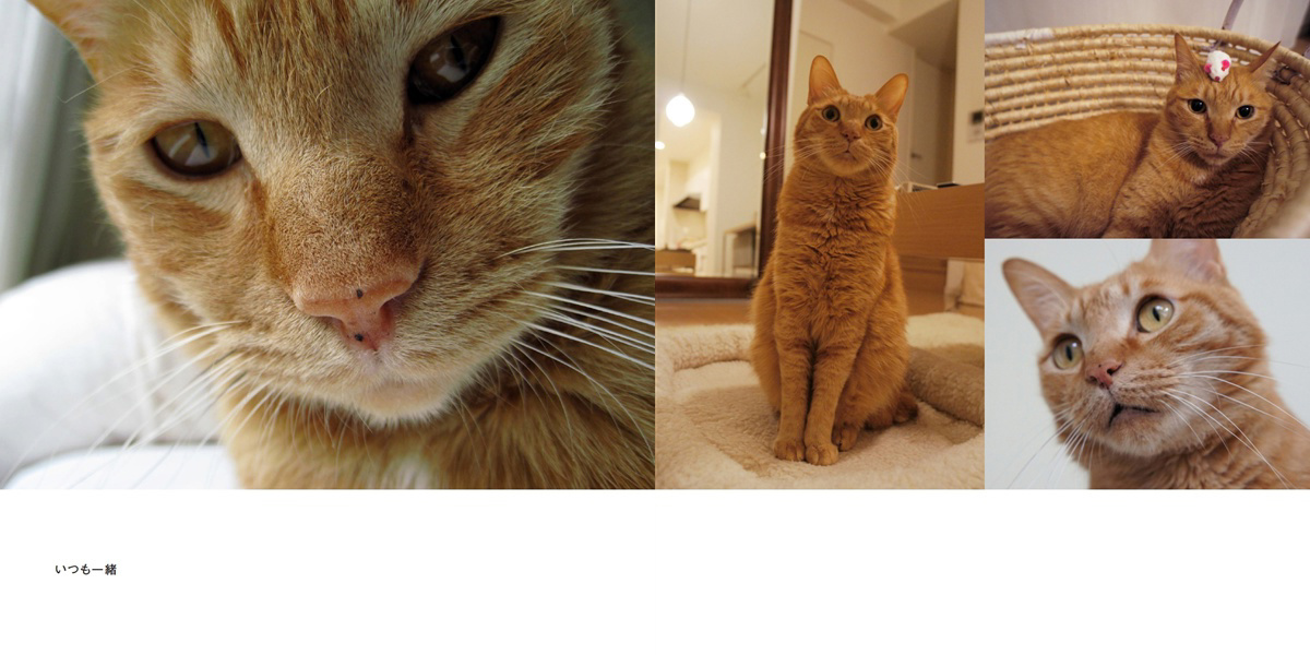 フォトブック 18ページ目