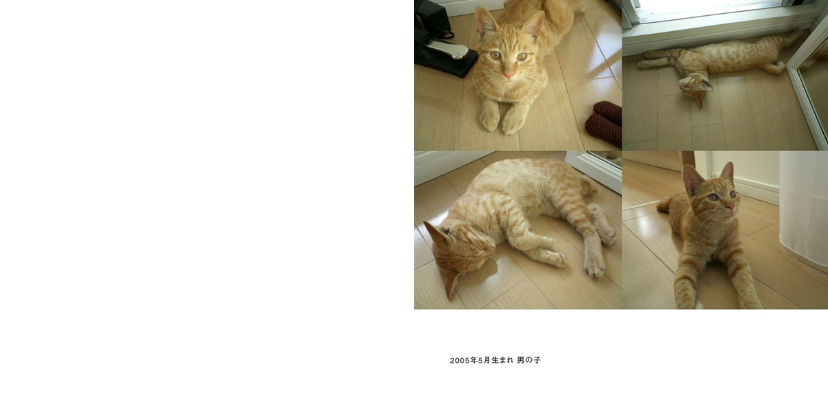 フォトブック 2ページ目