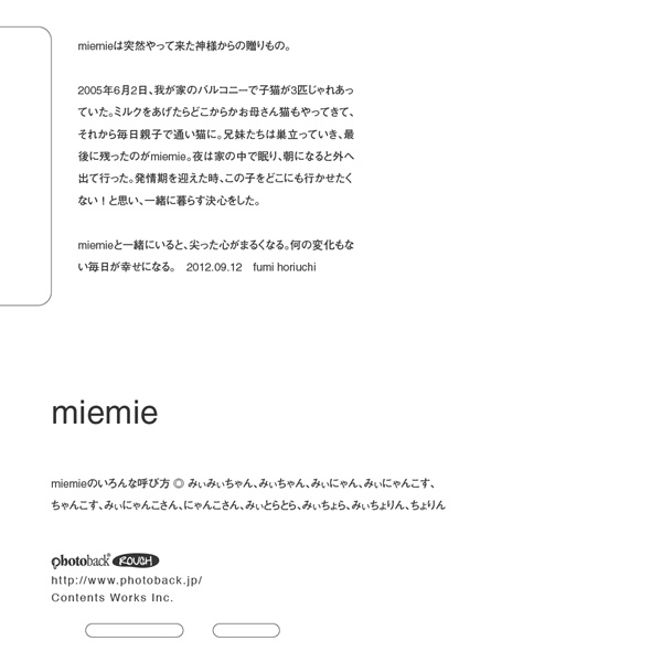 フォトブック ジャケット裏