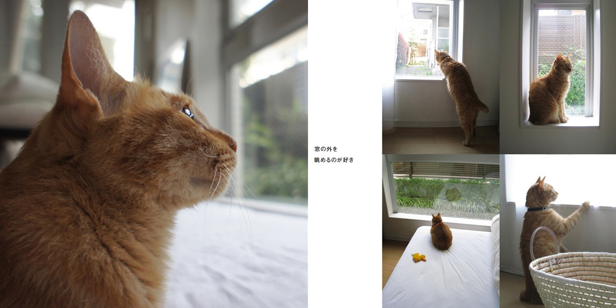 フォトブック 6ページ目
