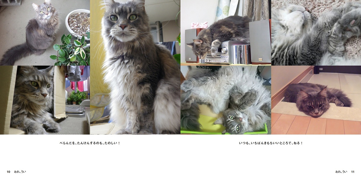 フォトブック 10ページ目