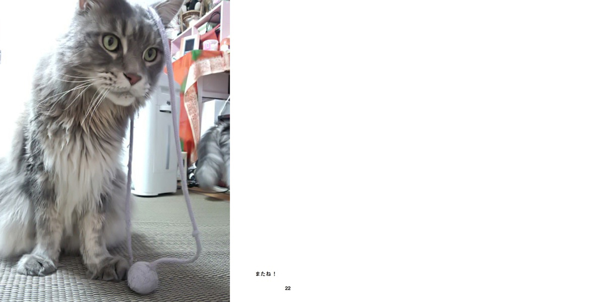 フォトブック 22ページ目