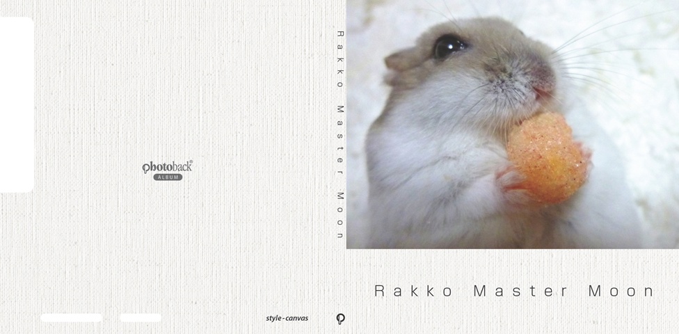 フォトブック ジャケット