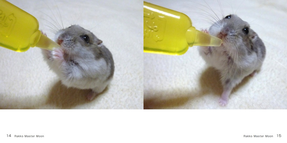 フォトブック 14ページ目
