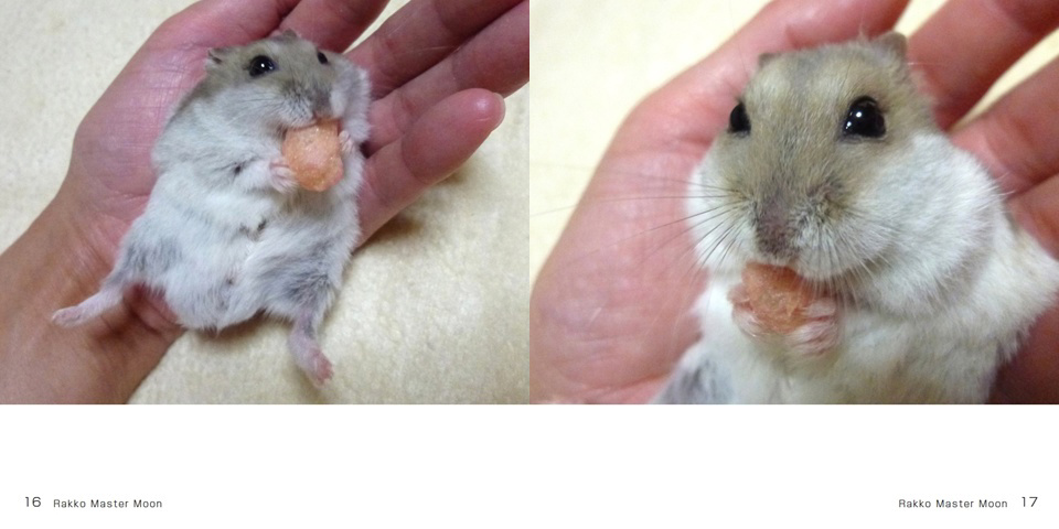 フォトブック 16ページ目