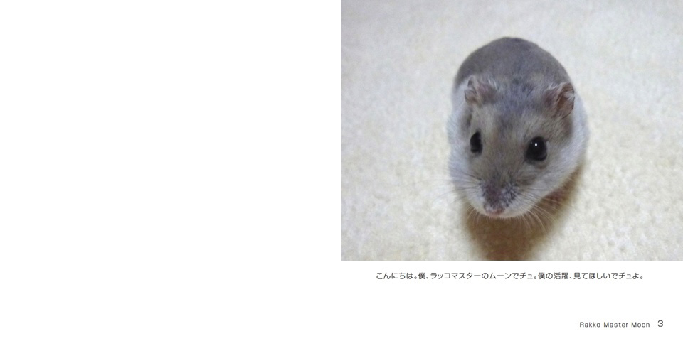 フォトブック 2ページ目