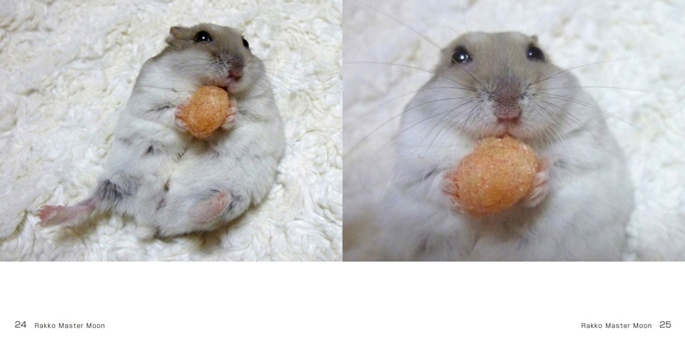 フォトブック 24ページ目