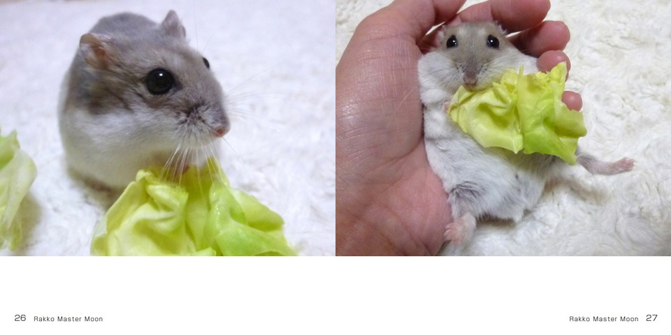 フォトブック 26ページ目
