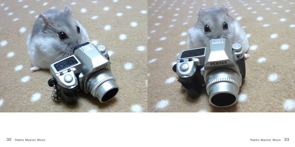 フォトブック 32ページ目